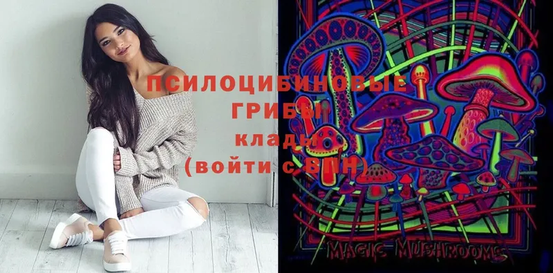 купить  сайты  Анжеро-Судженск  darknet как зайти  Галлюциногенные грибы Magic Shrooms 